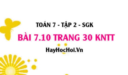Bài 7.10 trang 30 Toán 7 Tập 2 Kết nối tri thức